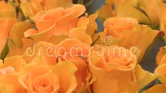 玫瑰橙花背景情人节快乐视频的预览图