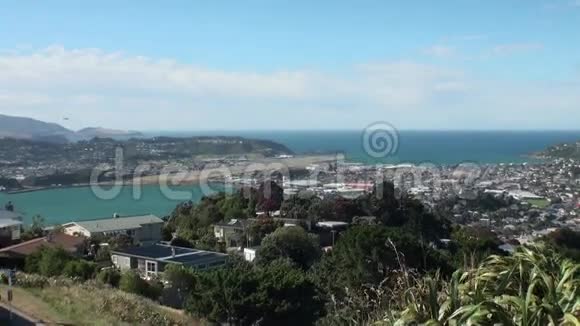 新西兰青山绿水背景下海洋海岸的房屋视频的预览图