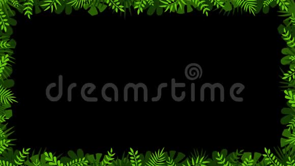 浅绿色和深绿色植物外来叶子和棕榈为热带框架用阿尔法通道加载4K运动图形视频的预览图