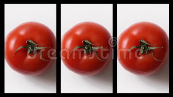 新鲜西红柿在白色背景下旋转的拼贴视频的预览图