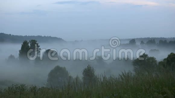 日落背景下田野里的雾视频的预览图