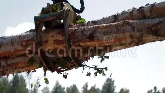FellerBuncher卸树干机械臂视频的预览图