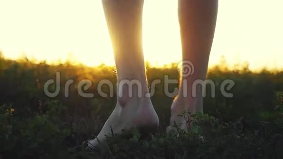 太阳落山时阳刚的双脚光着脚穿着柔和的草地缓慢地发出强烈的耀斑效应视频的预览图