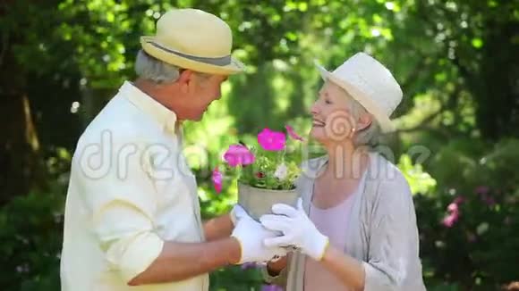 成熟的夫妇一起捧着花盆视频的预览图
