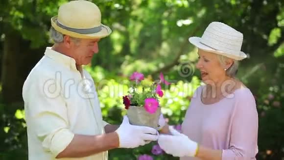 可爱的退休夫妇在园艺时接吻视频的预览图