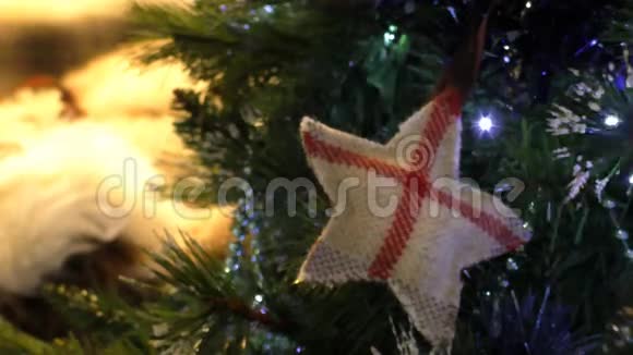 圣诞树上的英文符号视频的预览图