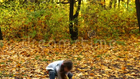 摄影女孩在公园里抛出秋叶高清视频视频的预览图
