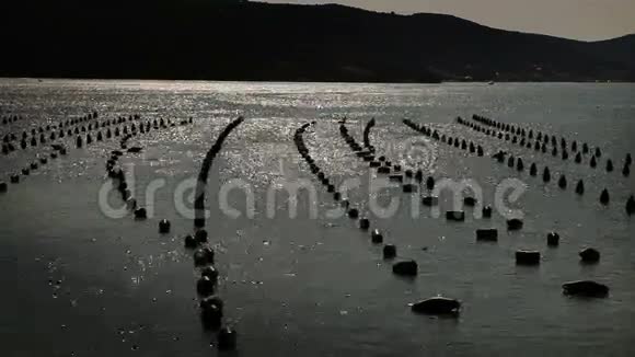 日落时分在斯普利特附近的鱼场拍摄视频的预览图