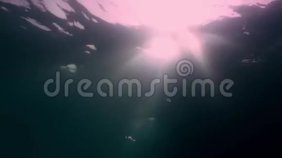 马尔代夫清澈水下背景下的日光视频的预览图