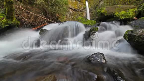 高清晰度电影长曝光流畅的水流过干溪瀑布在瀑布俄勒冈州春天1080p视频的预览图