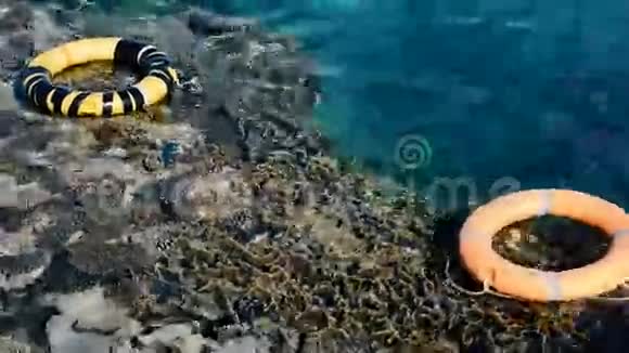 珊瑚礁附近红海的生命线视频的预览图