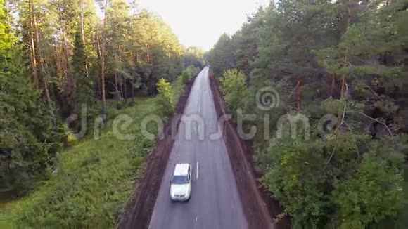 在森林里的路上的汽车鸟瞰视频的预览图