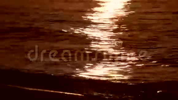 日出海时程视频的预览图