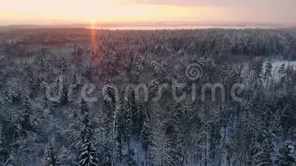冬季森林的空中飞行在白雪皑皑的森林中飞翔太阳落山白雪皑皑视频的预览图