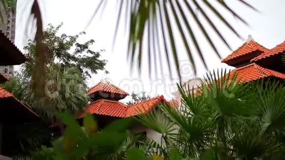 橙色瓷砖屋顶和棕榈树视频的预览图