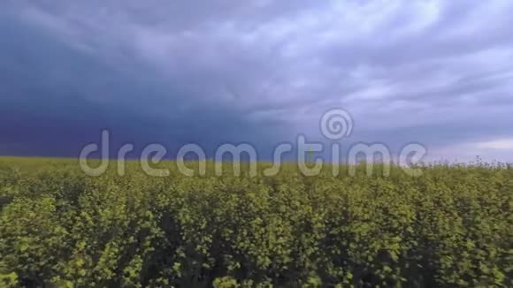 雷云背景下的田野绿黄视频的预览图