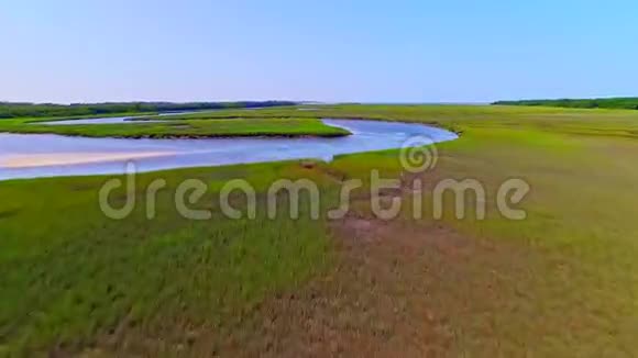 湿地和湿地环绕的热带河流视频的预览图