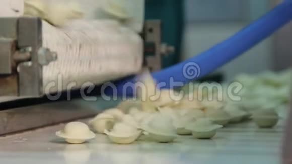 在俄罗斯生产的工厂里做饺子模型的机器视频的预览图