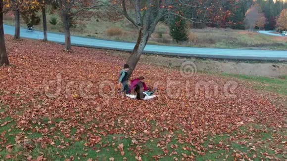 妈妈和她的孩子们在秋天的森林里玩得很开心他们跳起来把树叶扔到空中他们在笑这就是视频的预览图