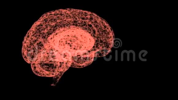 脑功能和活动的概念脑全息图漂浮在空间中大脑的每个部分都有自己的功能视频的预览图
