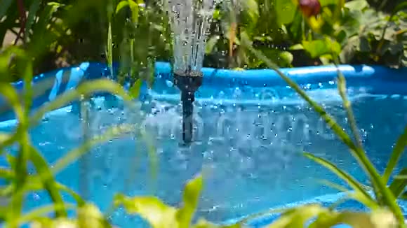花园里的池塘有一个有花草的喷泉视频的预览图