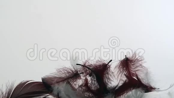 失重打桩和吸收羽绒羽毛视频的预览图