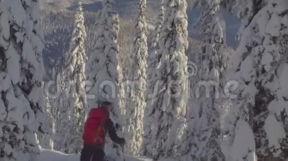 西伯利亚的滑雪场一个人骑在雪林下的山上视频的预览图