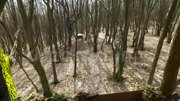 森林中的盒子狩猎站视频的预览图