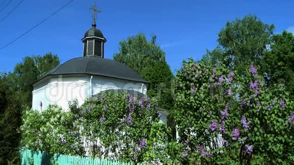 紫丁香灌木和教堂背景视频的预览图