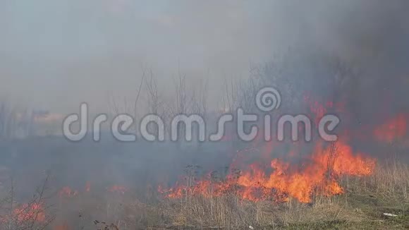 巨大的火干草火附近的农村家园燃烧的森林和枯树视频的预览图