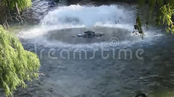 喷泉和黑天鹅视频的预览图