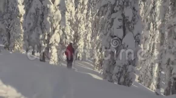 西伯利亚的滑雪场一个人骑在雪林下的山上视频的预览图