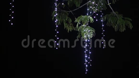 树上挂着挂着的花环圣诞节的主题新年快乐视频的预览图