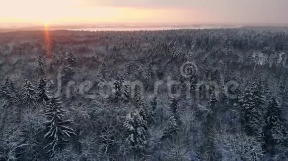 冬季森林的空中飞行在白雪皑皑的森林中飞翔太阳落山白雪皑皑视频的预览图