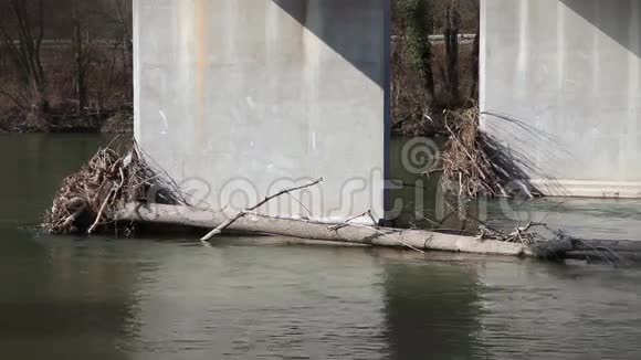 一条河被人撞成了障碍物从树上跑下来视频的预览图