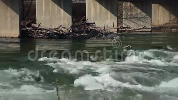 河流流过障碍物的镜头视频的预览图