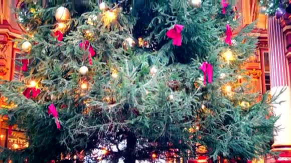 圣诞节一棵五颜六色的圣诞树的全景视频的预览图