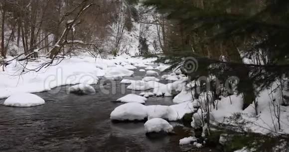 森林中河流的流水视频的预览图