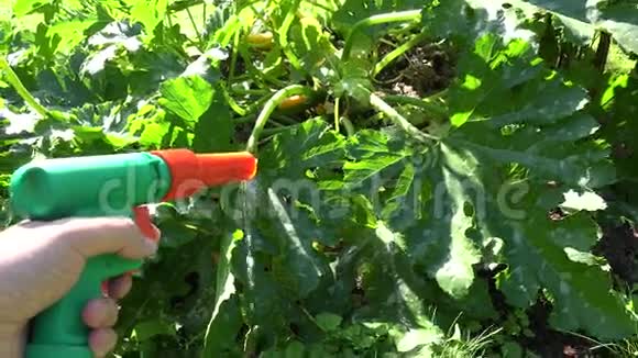 园艺手用水软管喷嘴喷雾器工具灌溉植物床土壤4K视频的预览图