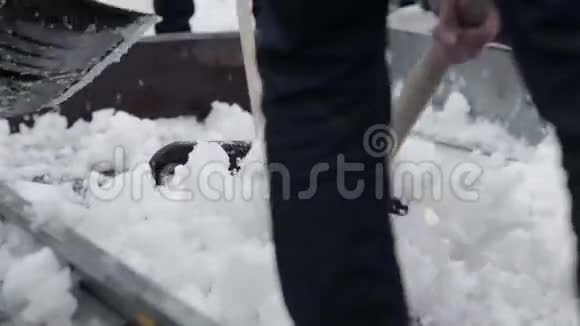 年轻人从货车里扔雪铲视频的预览图