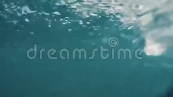带气泡运动的水下湍流观视频的预览图