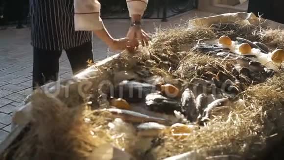 很多大牡蛎和鲜鱼躺在冰上视频的预览图