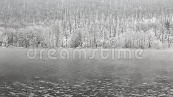 伏塔瓦河上薄雾弥漫的冬日早晨视频的预览图