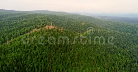 森林全景林中乡村道路的鸟瞰图从泰加的无人机上看空中飞行视频的预览图