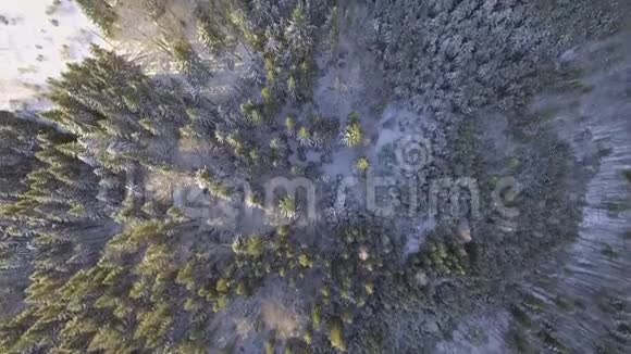 飞行上方冬季森林北部高空俯视视频的预览图