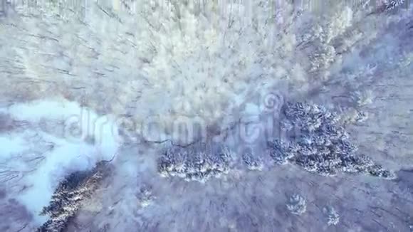 森林上空的冬季空中景色视频的预览图