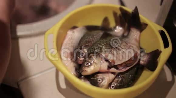 一个女人把新鲜的鱼放下来做晚餐视频的预览图