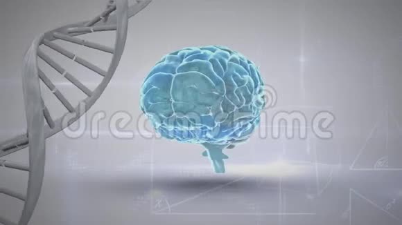 大脑遗传密码的数字组合视频的预览图