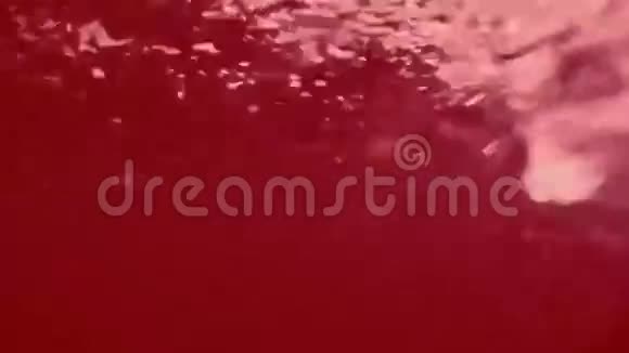 抽象的红色液体带有气泡的湍流视频的预览图