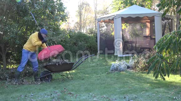在花园的秋季清洁中人用落叶手推车装载手推车4K视频的预览图